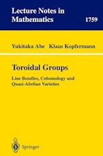 Toroidal Groups