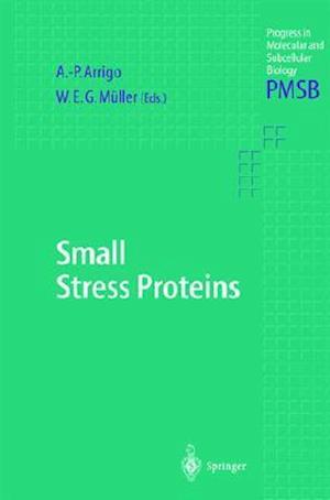 Small Stress Proteins