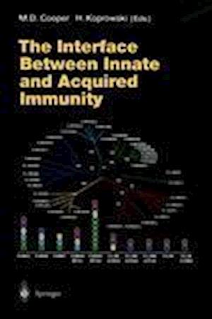 The Interface Between Innate and Acquired Immunity