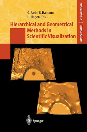 Hierarchical and Geometrical Methods in Scientific Visualization