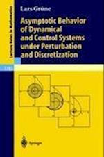 Asymptotic Behavior of Dynamical and Control Systems under Pertubation and Discretization