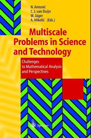 Multiscale Problems in Science and Technology