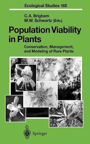 Population Viability in Plants