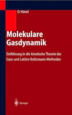 Molekulare Gasdynamik