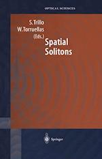 Spatial Solitons
