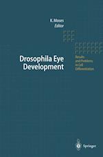 Drosophila Eye Development
