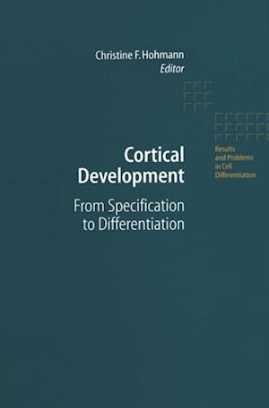 Cortical Development