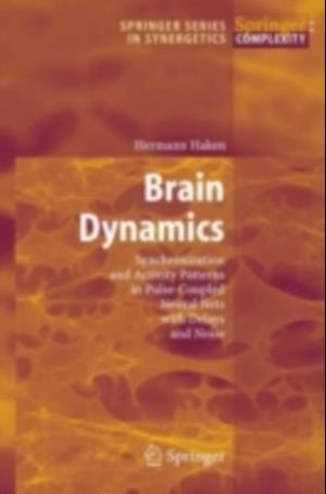 Brain Dynamics