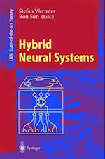 Hybrid Neural Systems