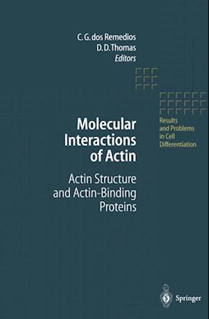 Molecular Interactions of Actin