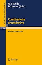 Combinatoire enumerative