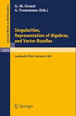 Singularities, Representation of Algebras, and Vector Bundles