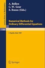 Numerical Methods for Ordinary Differential Equations