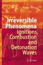 Irreversible Phenomena