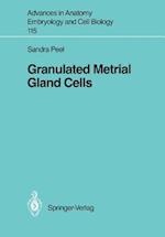 Granulated Metrial Gland Cells