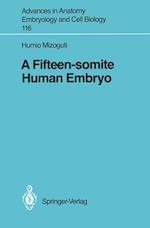 A Fifteen-somite Human Embryo
