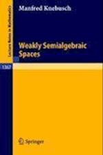 Weakly Semialgebraic Spaces