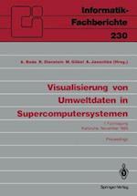 Visualisierung von Umweltdaten in Supercomputersystemen