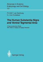 The Human Substantia Nigra and Ventral Tegmental Area