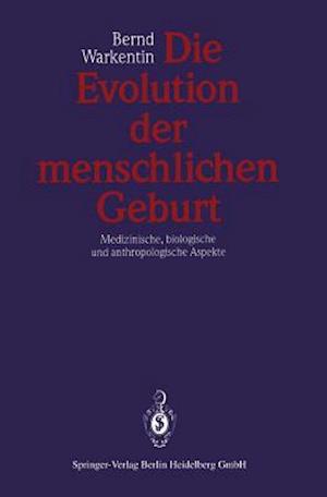 Die Evolution der menschlichen Geburt