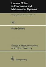 Essays in Macroeconomics of an Open Economy