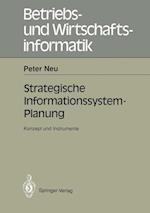 Strategische Informations-system-Planung