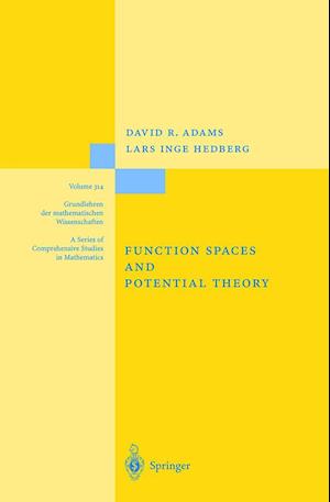 Function Spaces and Potential Theory