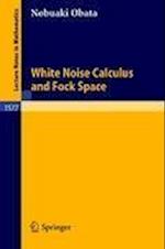 White Noise Calculus and Fock Space