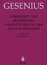 Hebräisches und Aramäisches Handwörterbuch über das Alte Testament