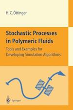 Stochastic Processes in Polymeric Fluids