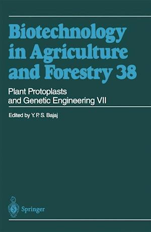 Plant Protoplasts and Genetic Engineering VII