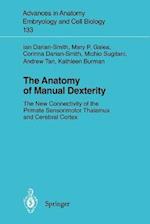 The Anatomy of Manual Dexterity