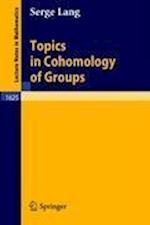 Topics in Cohomology of Groups