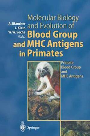 Molecular Biology and Evolution of Blood Group and MHC Antigens in Primates