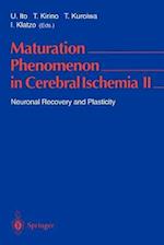 Maturation Phenomenon in Cerebral Ischemia II