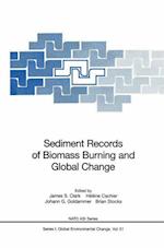 Sediment Records of Biomass Burning and Global Change