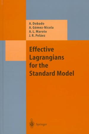 Effective Lagrangians for the Standard Model