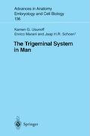 The Trigeminal System in Man