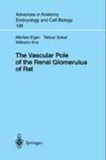 The Vascular Pole of the Renal Glomerulus of Rat