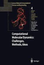 Computational Molecular Dynamics: Challenges, Methods, Ideas