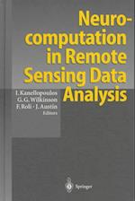 Neurocomputation in Remote Sensing Data Analysis