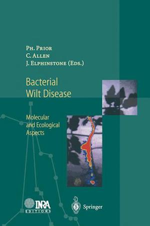 Bacterial Wilt Disease