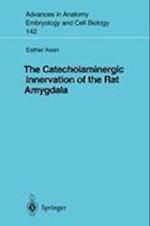 The Catecholaminergic Innervation of the Rat Amygdala