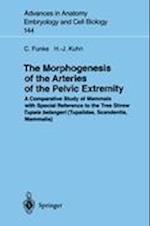 The Morphogenesis of the Arteries of the Pelvic Extremity