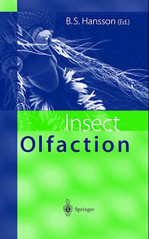 Insect Olfaction