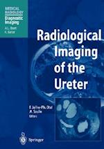 Radiological Imaging of the Ureter