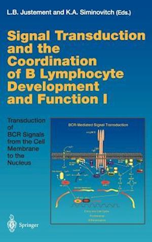 Signal Transduction and the Coordination of B Lymphocyte Development and Function I