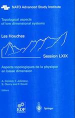 Aspects Topologiques De La Physique En Basse Dimension. Topological Aspects of Low Dimensional Systems