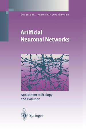 Artificial Neuronal Networks