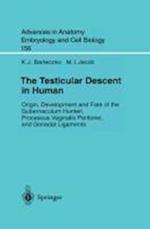 The Testicular Descent in Human
